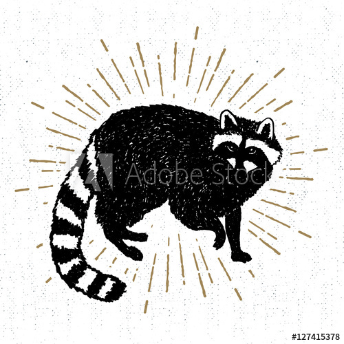 500x500 Hand Drawn Icon With Textured Raccoon Vector Illustration