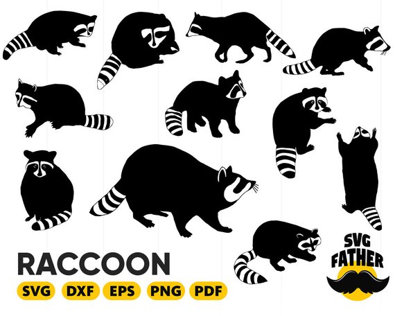 570x456 Raccoon Raccoon Clipart, Raccoon Raccoon Face