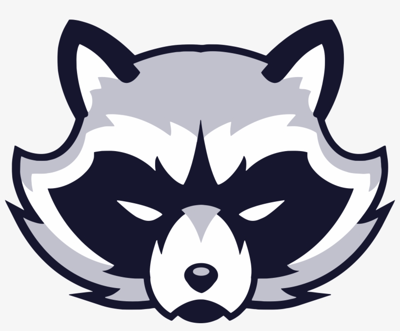 820x679 Raccoon Face Logo