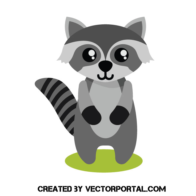660x660 Raccoon Vector Image