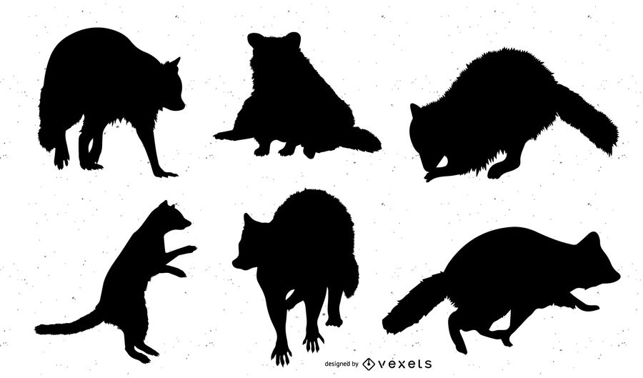 900x529 Racoon Vector Silhouette Set