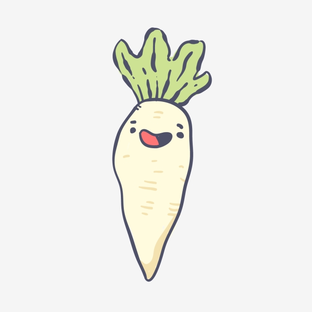 640x640 Radish Vector Png, Vector, And Clipart With Transparent