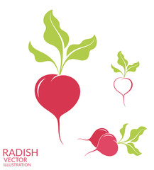 217x240 Radish Vector Photos, Royalty Free Images, Graphics, Vectors