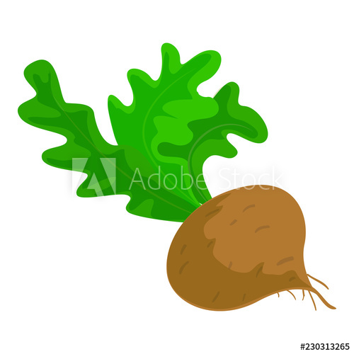 500x500 Brown Radish Icon Cartoon Of Brown Radish Vector Icon For Web