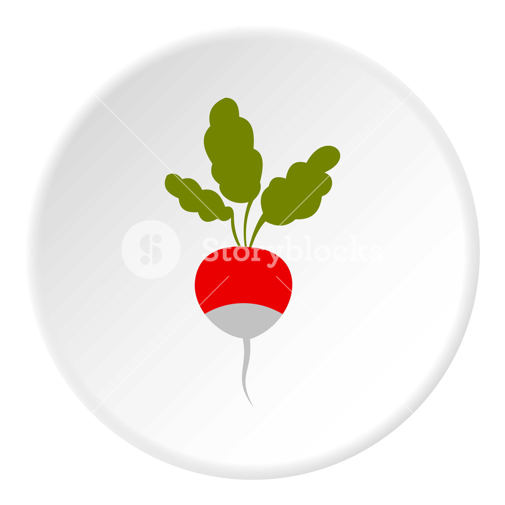 1000x1000 Radish Icon Flat Illustration Of Radish Vector Icon For Web