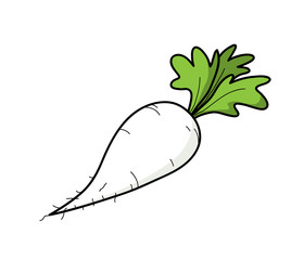 280x240 Search Photos Radish Vector