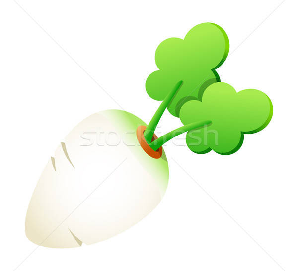 600x546 Vector Icon White Radish Vector Illustration Sungjoong Kim