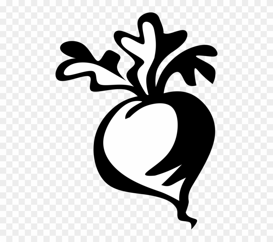 880x780 Vegetables Image Illustration Of Clip Art Transparent