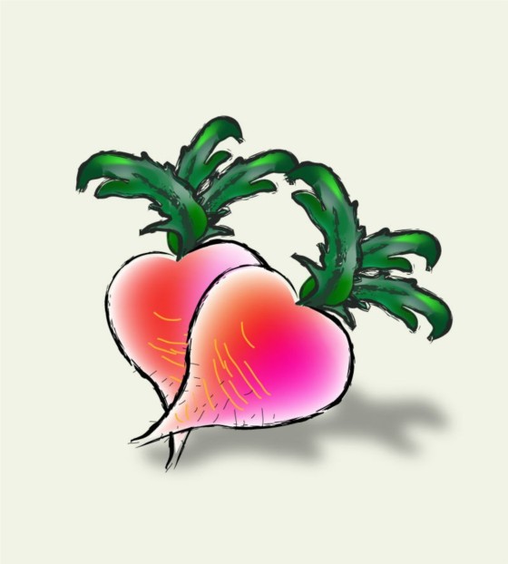 560x622 Watercolor Radish Vector Graphics Free Download