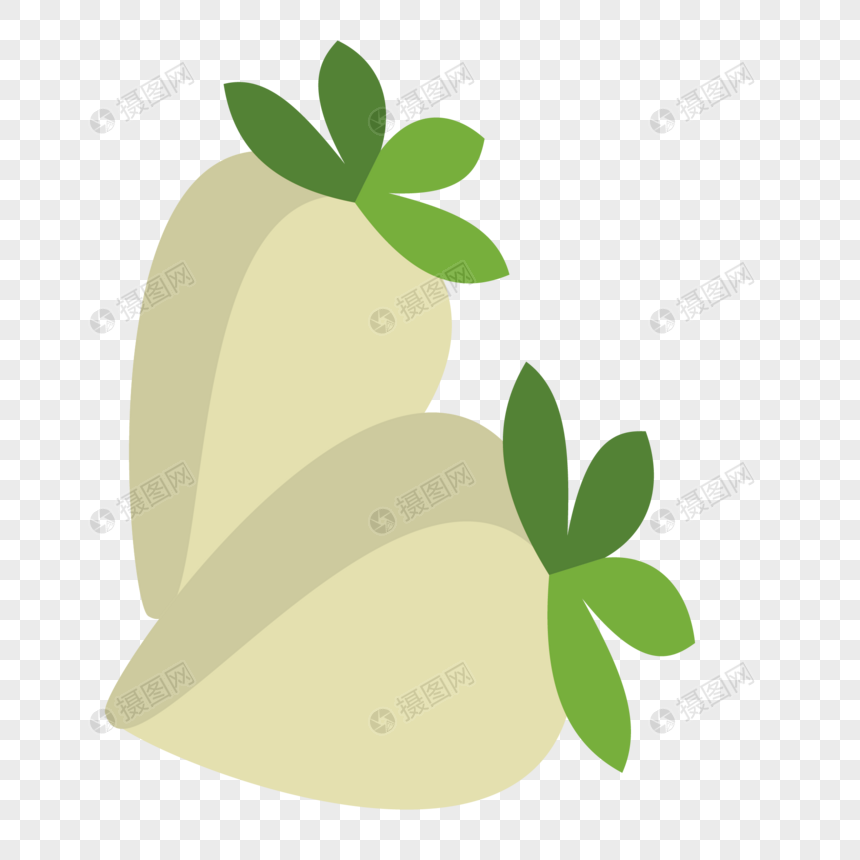 860x860 White Radish Vector Png Image Picture Free Download