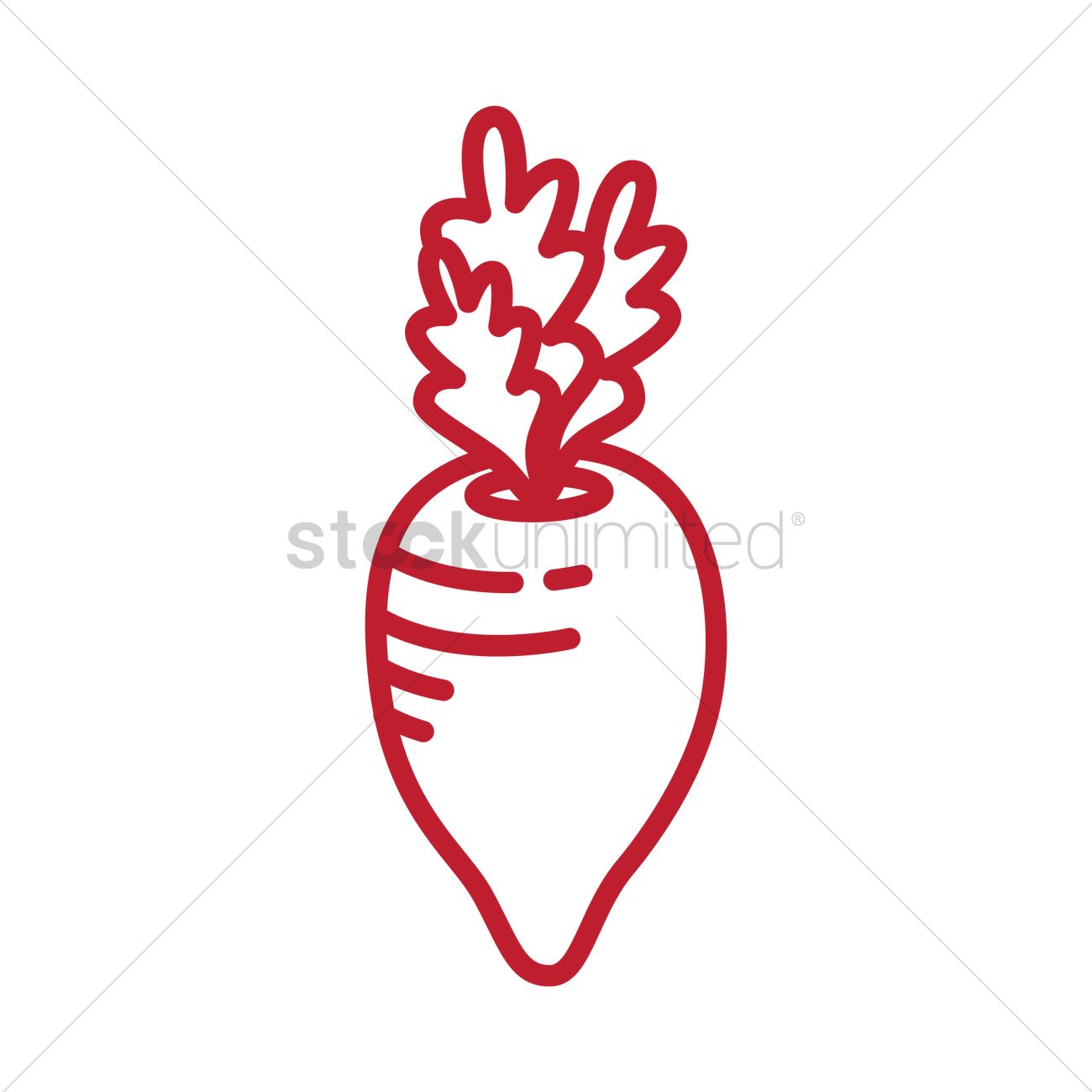 1300x1300 Chinese White Radish Vector Image