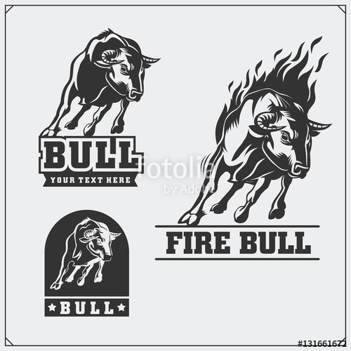 500x500 Raging Bull Vector Emblems, Labels And Badges Stock Image