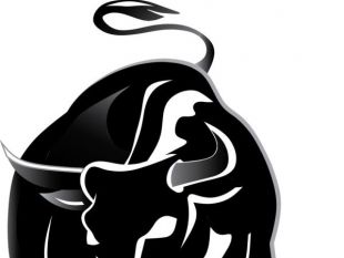 310x233 Set Of Angry Bulls Design Vector Free Vectors Ui Download