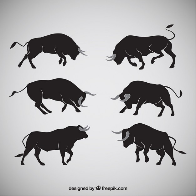 626x626 Bull Vectors, Photos And Free Download