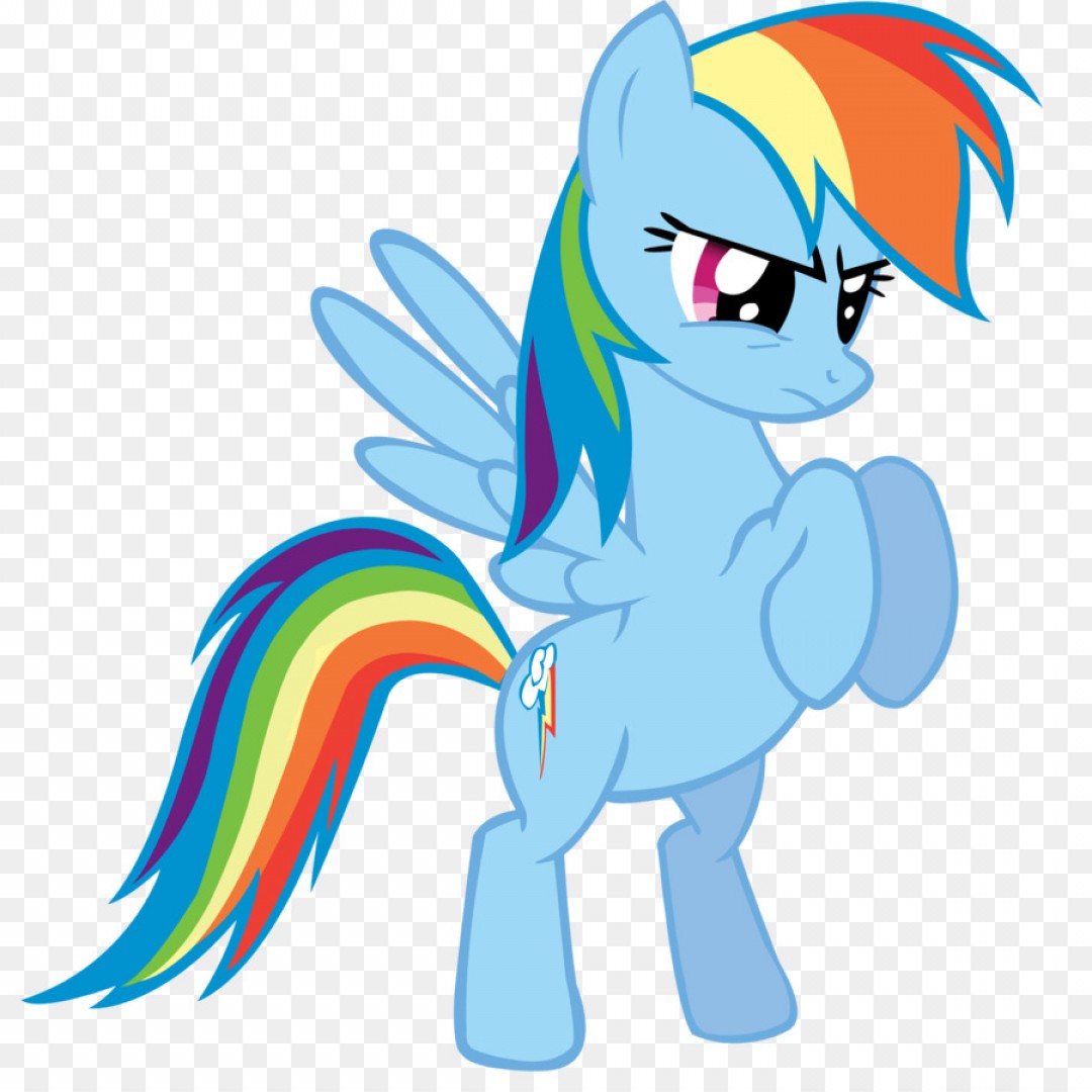 Png My Little Pony Rainbow Dash Tied Vector Soidergi 1080x1080 Png My Little Pony Rainbow Dash Tied Vector Soidergi