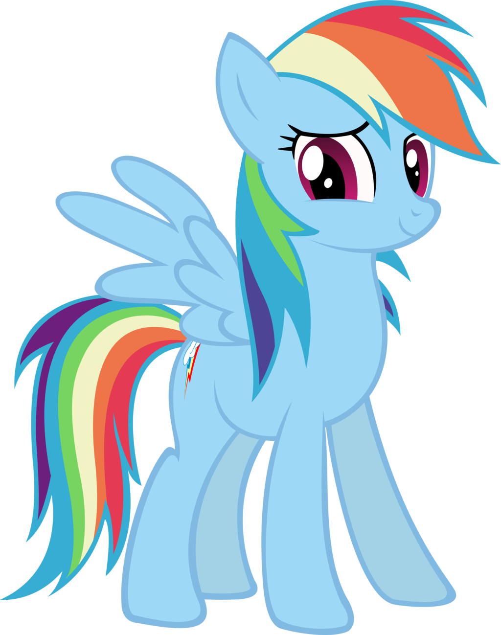 Rainbow Dash 1024x1298 Rainbow Dash