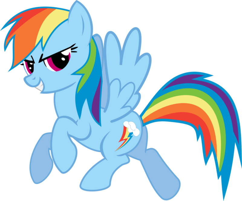 Download Free Png Rainbow Dash Vector Standing Png 800x662 Download Free Png Rainbow Dash Vector Standing Png