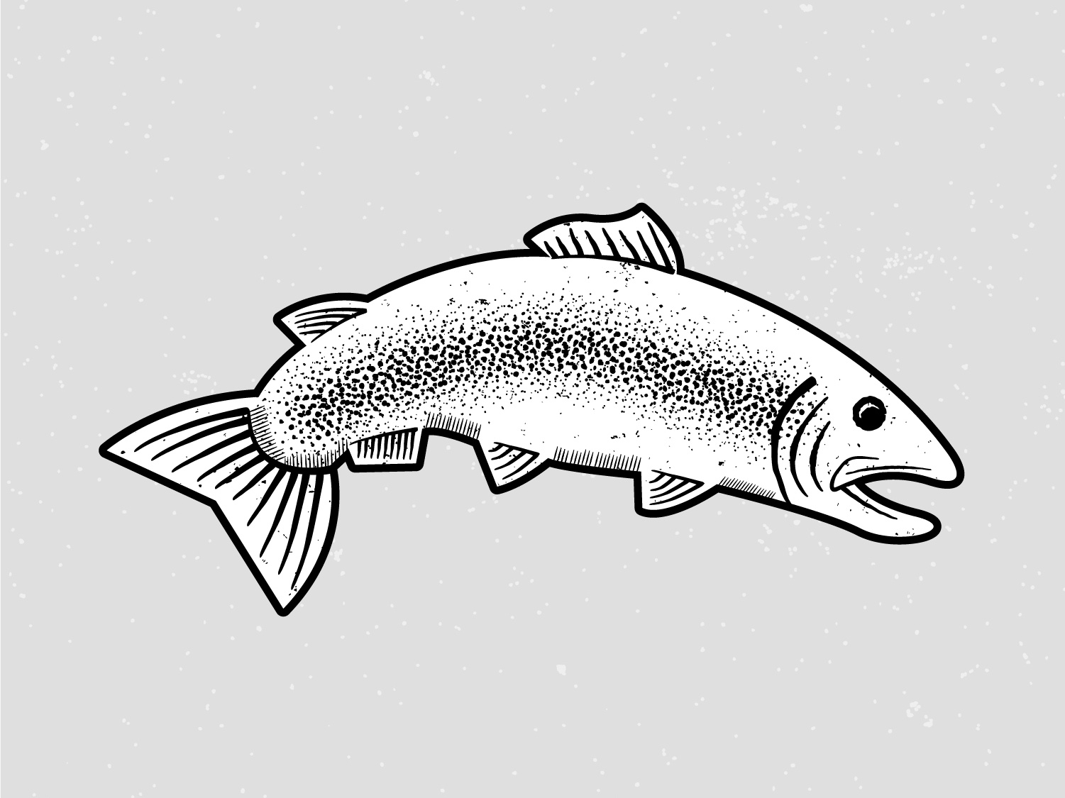 1501x1125 Rainbow Trout