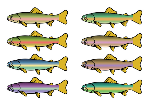 632x443 Rainbow Trout Fish Vector Free Vector Download Cannypic