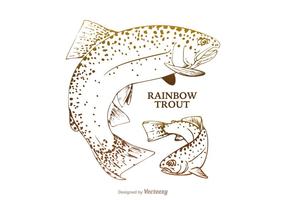286x200 Rainbow Trout Free Vector Art