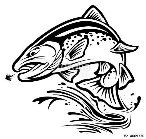 500x475 Rainbow Trout Stock Image And Royalty Free Vector