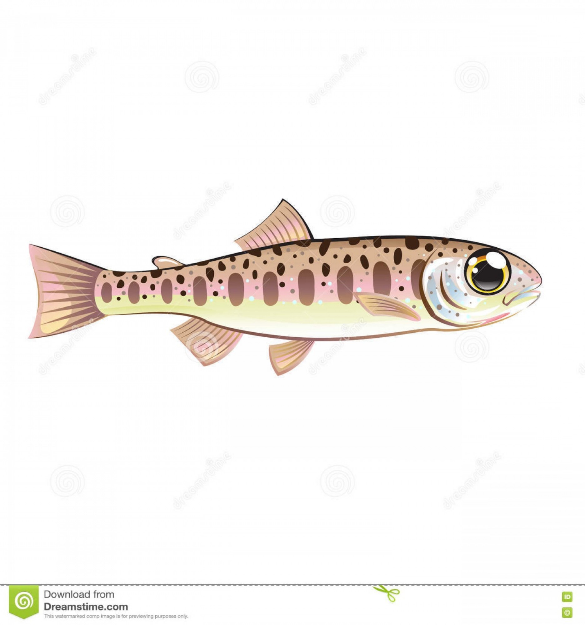 1872x2001 Stock Illustration Baby Trout Cartoonified Vector Art Fish Farm