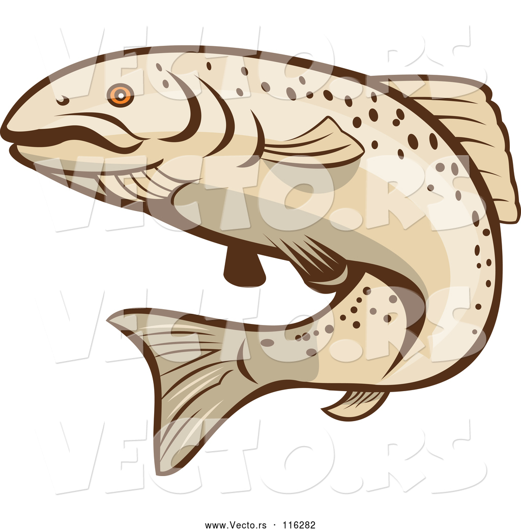 1024x1044 Vector Of Cartoon Rainbow Trout Fish