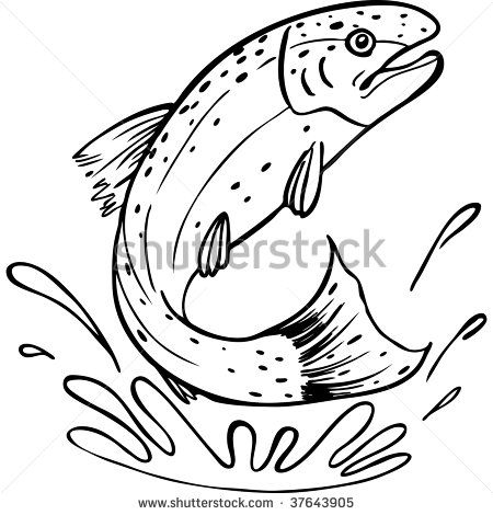 450x470 Rainbow Trout Drawing Template Trout Jumping Stock Photos
