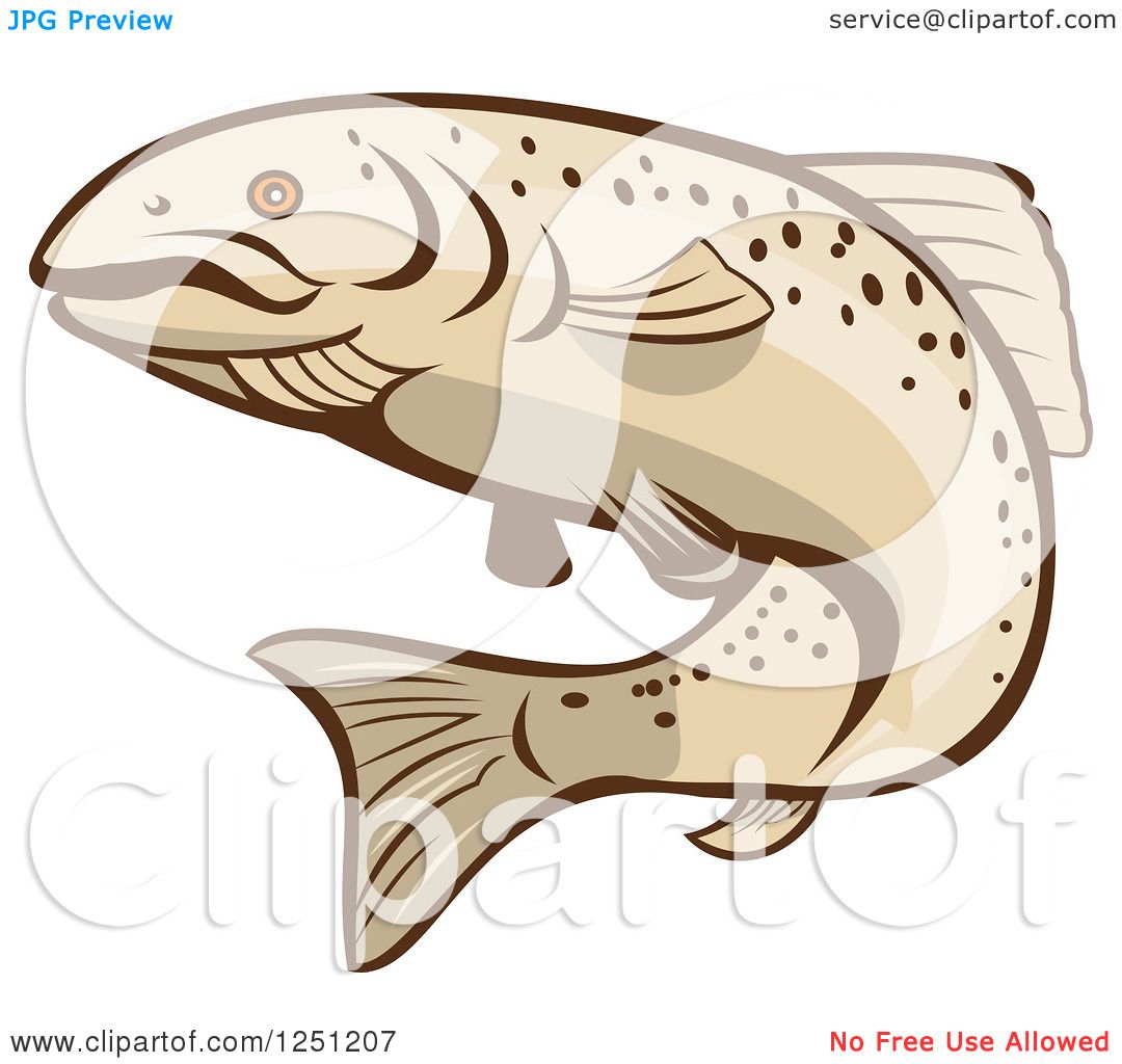 1080x1024 Clipart Of A Rainbow Trout Fish