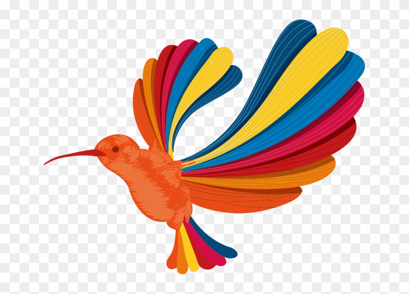 840x604 Hummingbird Euclidean Vector Rainbow Color