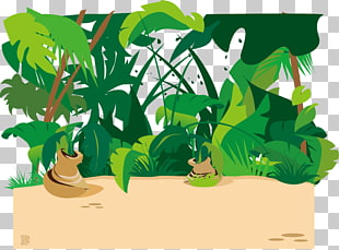 Tropical Rainforest Drawing at GetDrawings.com | Free for personal use ...