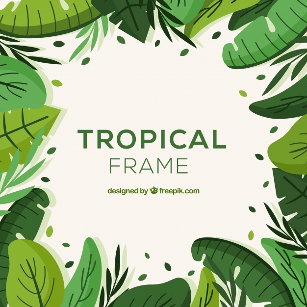626x626 Jungle Vectors, Photos And Free Download