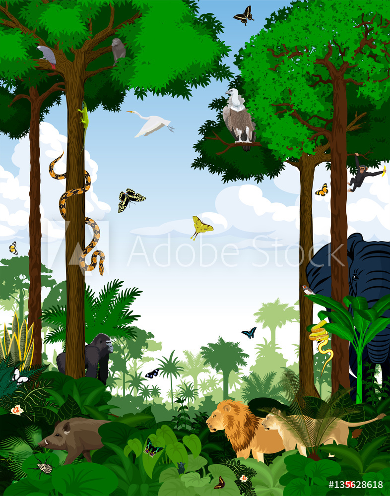786x1000 Photo Art Print Rainforest Vector Illustration Europosters