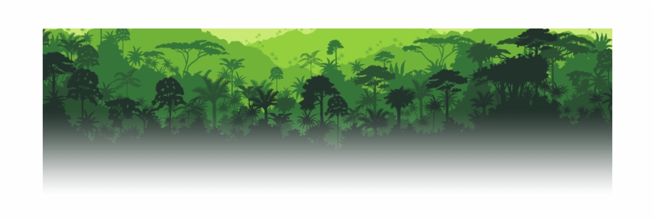 920x309 Rainforest Vector Free, Transparent Png Download For Free