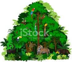233x200 Rainforest Vector Green Tropical Forest Jungle With Trees
