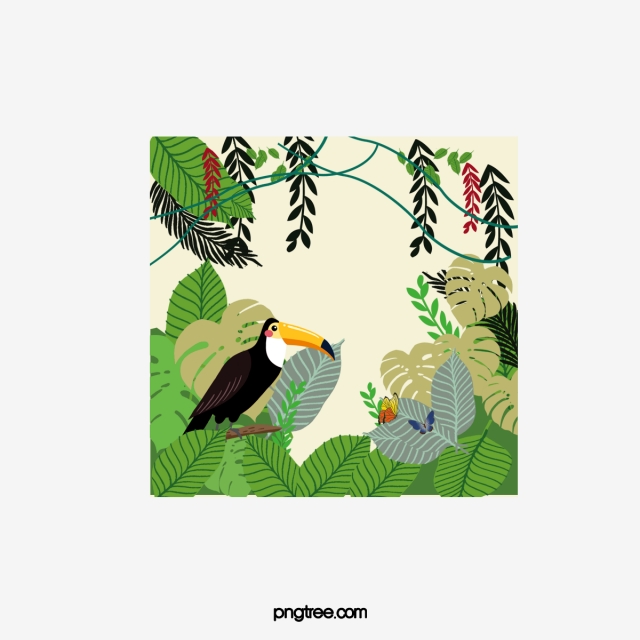 640x640 Amazon Rainforest Png Images Vector And Free