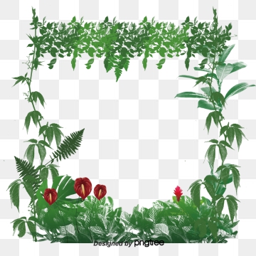 360x360 Rainforest Vector Png, Vector, And Clipart With Transparent