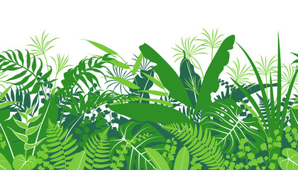 420x240 Rainforest Vector Photos, Royalty Free Images, Graphics, Vectors