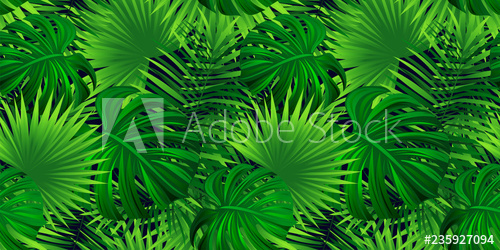 500x250 Rainforest Vector Background Tropical Leaves Illustration Vector