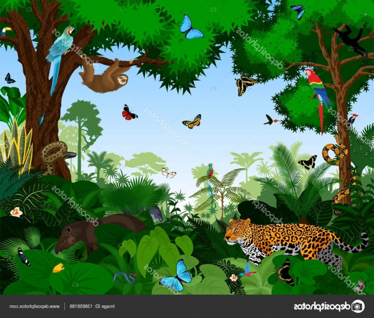 Rainforest Vector at Vectorified.com | Collection of Rainforest Vector ...