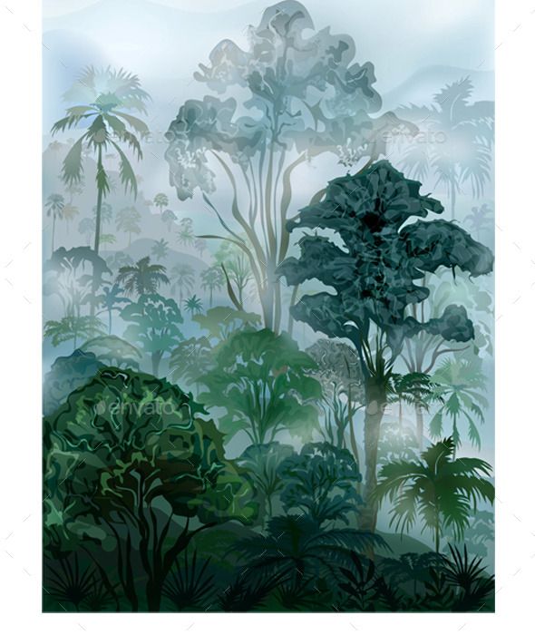 590x700 Tropical Rainforest