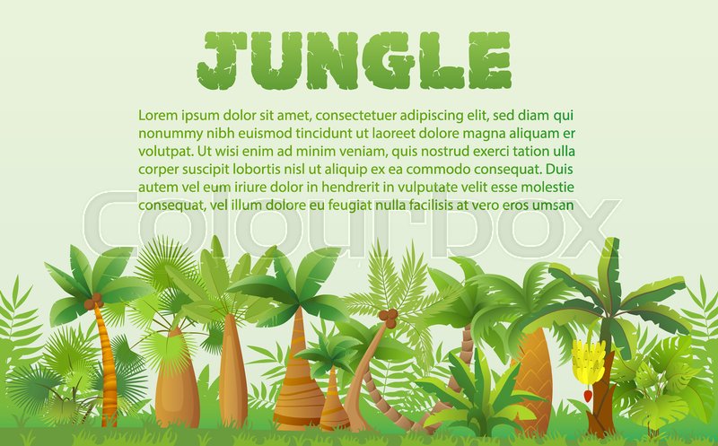 800x497 Vector Rainforest Palm Trees With Stock Vector Colourbox