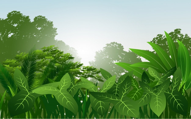 626x391 Amazon Rainforest Vectors, Photos And Free Download