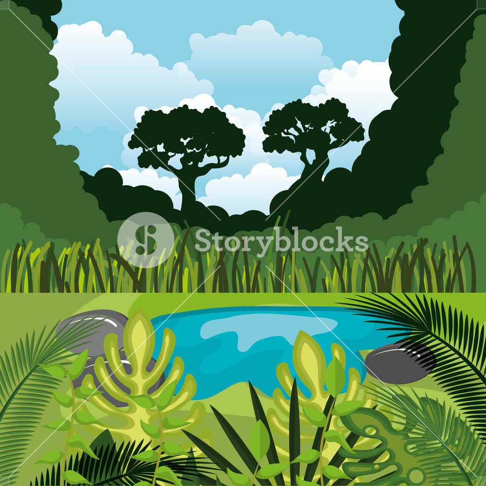 1000x1000 Rainforest Jungle Natural Scene Vector Illustration Design Royalty