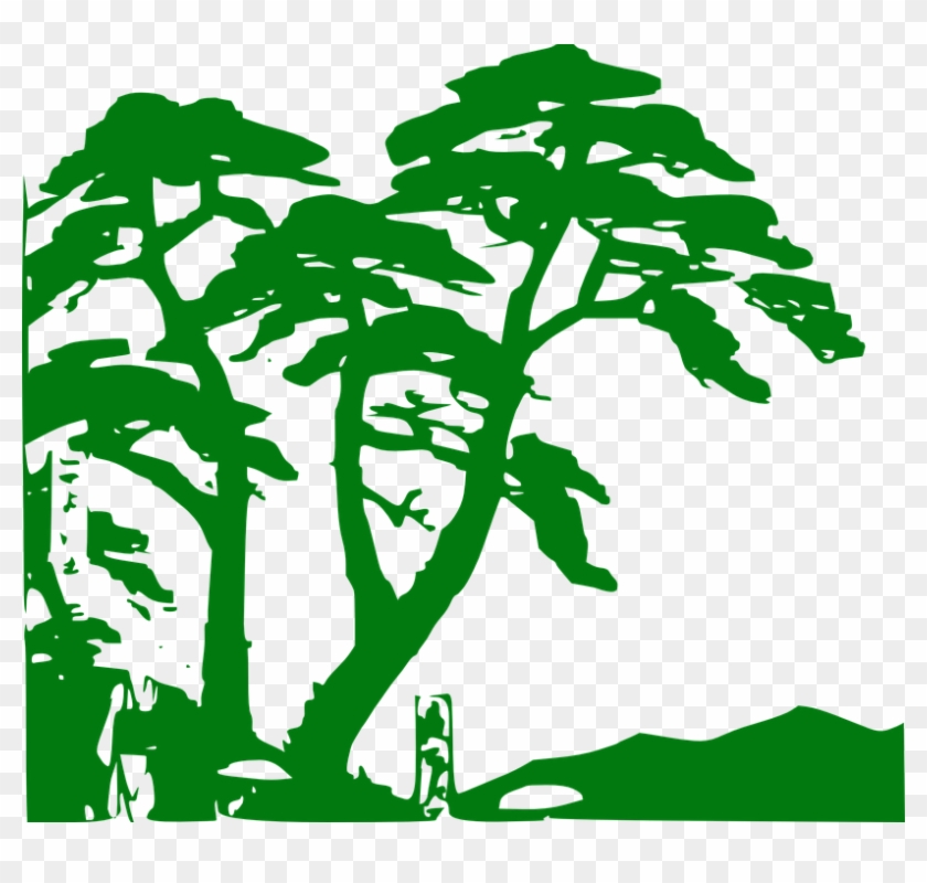 840x800 Collection Of Tree Vector Art