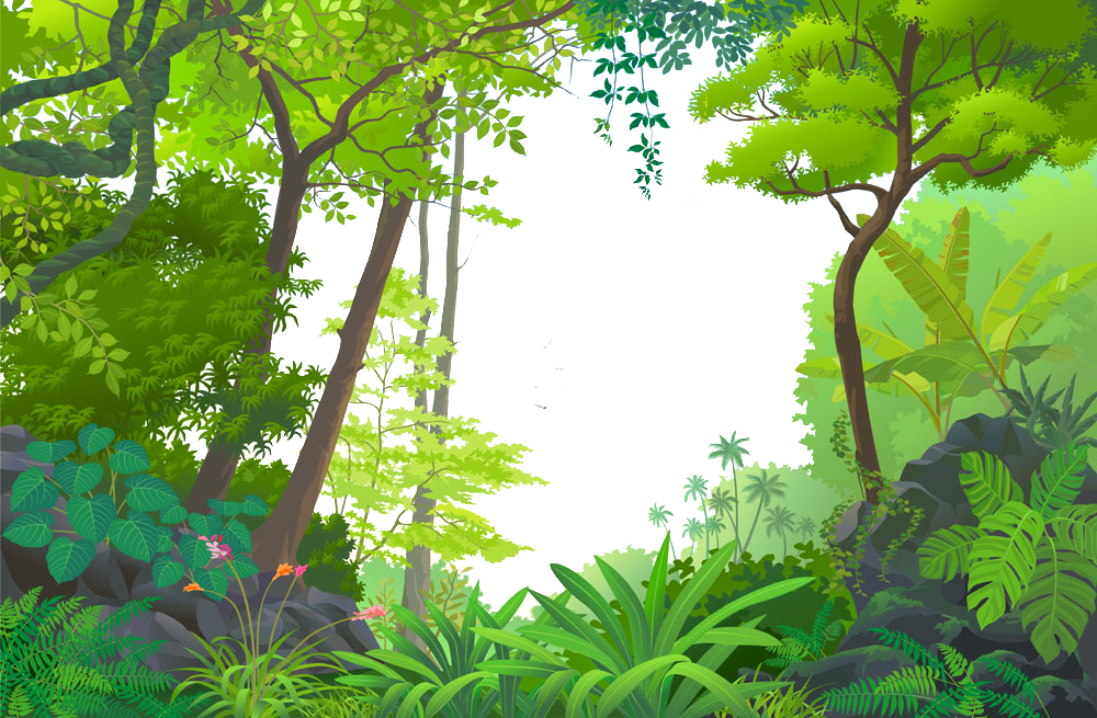 Rainforest Vector at Vectorified.com | Collection of Rainforest Vector