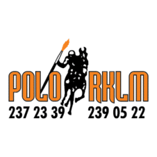 226x226 Polo Ralph Lauren Logo Vector Logopik