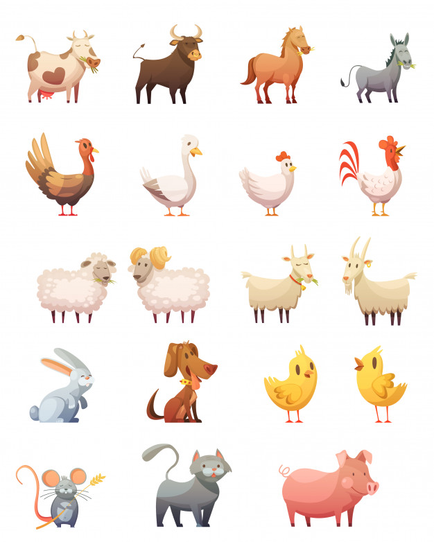 626x782 Ram Animal Vectors, Photos And Free Download
