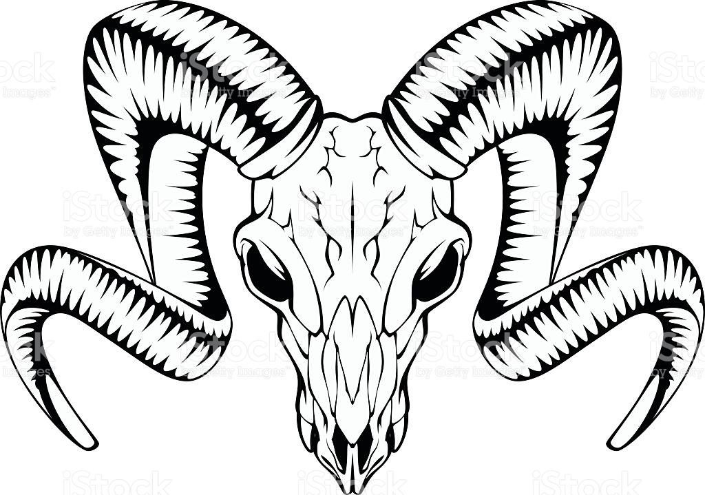 1024x719 Ram Skull Clipart