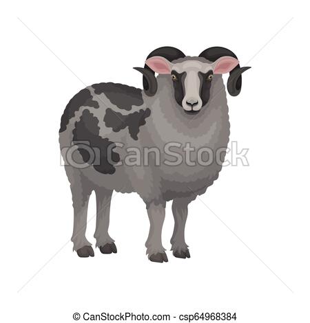 450x470 Detailed Flat Vector Icon Of Male Sheep Ram With Curved Horns